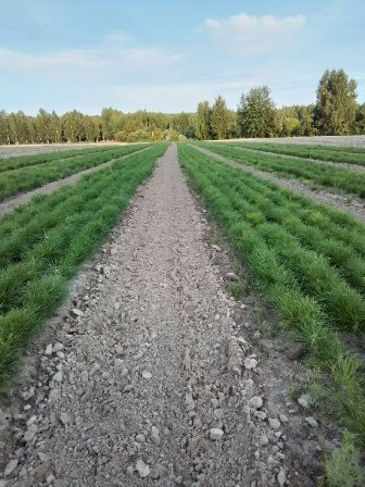 65e0b304a9d2416da9c8b96f52d68341