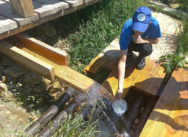 64986d209f8149b09d1bce32d6671224