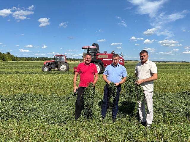 photo 2025 07 17 14 17 31