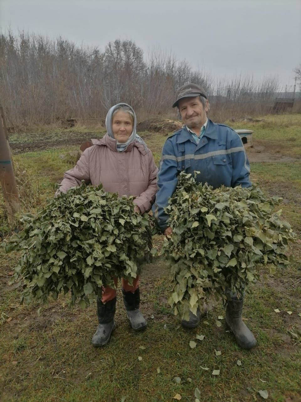 Веники Ковалиjpg