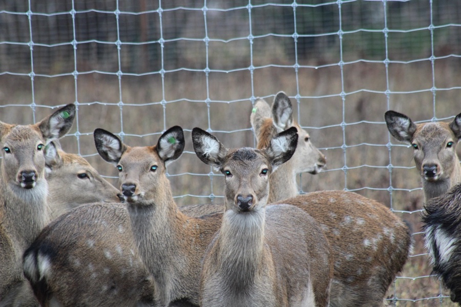 LXoQjimDGBrAcnxCDbT7Ag7BN5Kmcbt7qvNjHnem1WdmCFCgjyAgNPRaZd31cZNuihud dj2ukNX3RCNqmaoLPdt