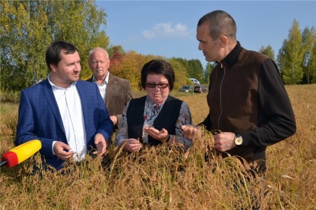 Урожайность зерновых в хозяйствах Чувашской Республики достигает 49 ц с гектара