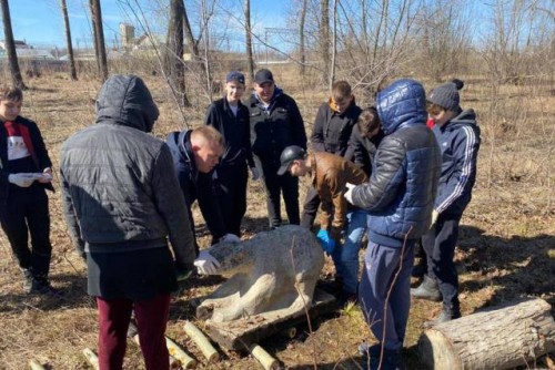 vV8mtdiyaV8BvAGIrdzsvIYzixvv938l