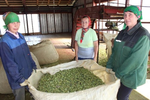 photo 2024 10 29 07 57 39