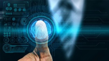 13cfef898048473cb8731e5fd76582ef