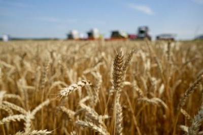 1768977710 e6ea77c1ce77459586c08832043e75bb